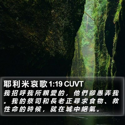 耶 利 米 哀 歌 1:19 CUVT Bible Verse Image