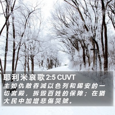 耶 利 米 哀 歌 2:5 CUVT Bible Verse Image
