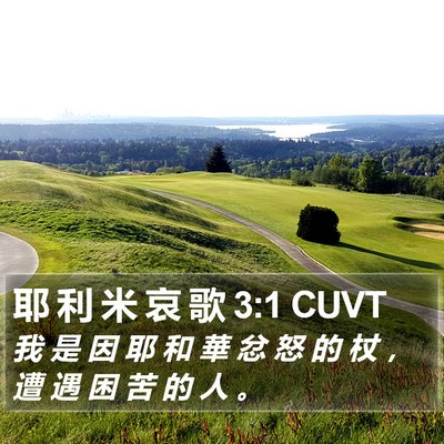 耶 利 米 哀 歌 3:1 CUVT Bible Verse Image