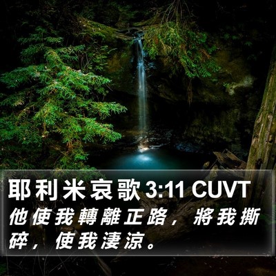 耶 利 米 哀 歌 3:11 CUVT Bible Verse Image