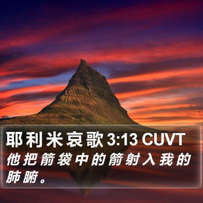 耶 利 米 哀 歌 3:13 CUVT Bible Verse Image
