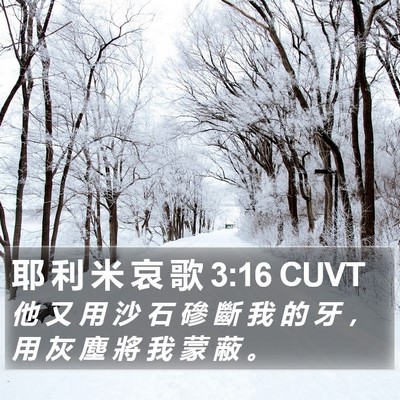 耶 利 米 哀 歌 3:16 CUVT Bible Verse Image
