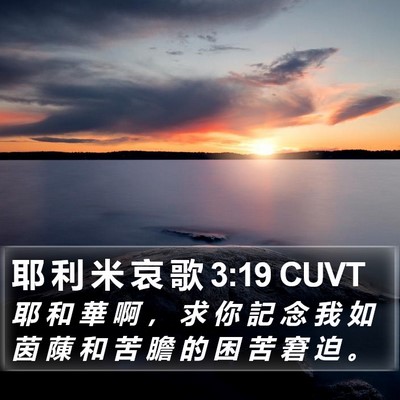 耶 利 米 哀 歌 3:19 CUVT Bible Verse Image