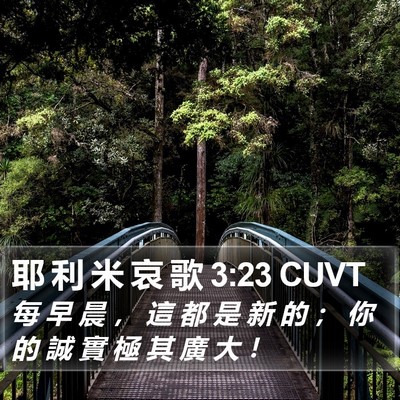 耶 利 米 哀 歌 3:23 CUVT Bible Verse Image