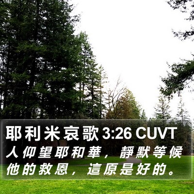耶 利 米 哀 歌 3:26 CUVT Bible Verse Image