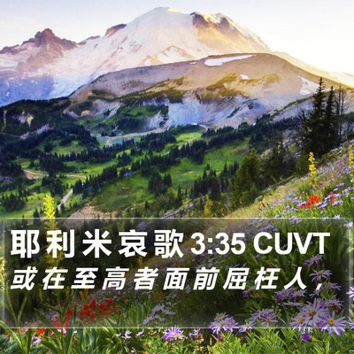 耶 利 米 哀 歌 3:35 CUVT Bible Verse Image
