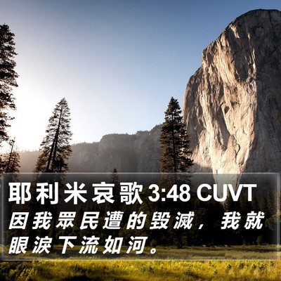 耶 利 米 哀 歌 3:48 CUVT Bible Verse Image