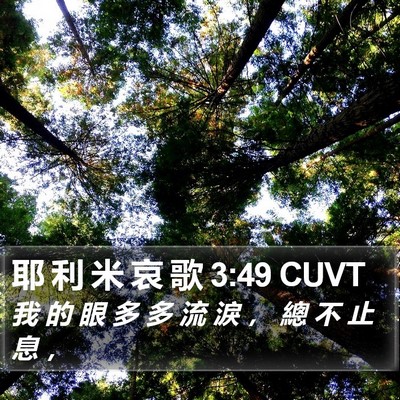 耶 利 米 哀 歌 3:49 CUVT Bible Verse Image