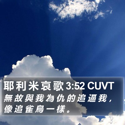 耶 利 米 哀 歌 3:52 CUVT Bible Verse Image