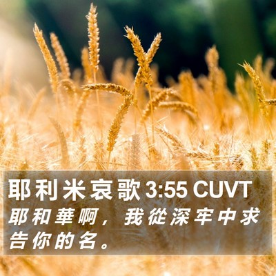 耶 利 米 哀 歌 3:55 CUVT Bible Verse Image