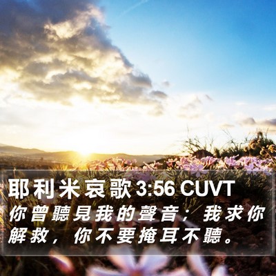 耶 利 米 哀 歌 3:56 CUVT Bible Verse Image