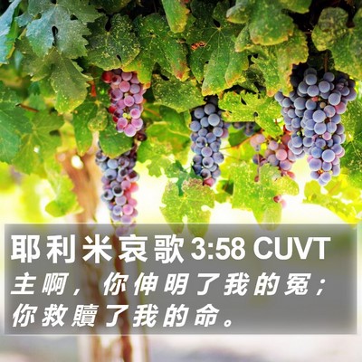 耶 利 米 哀 歌 3:58 CUVT Bible Verse Image