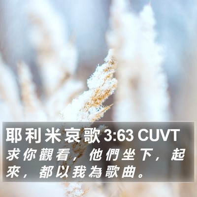 耶 利 米 哀 歌 3:63 CUVT Bible Verse Image