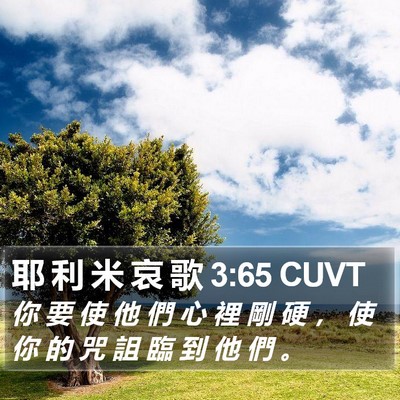 耶 利 米 哀 歌 3:65 CUVT Bible Verse Image