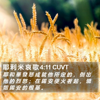 耶 利 米 哀 歌 4:11 CUVT Bible Verse Image