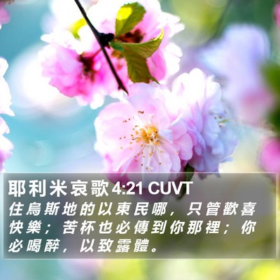 耶 利 米 哀 歌 4:21 CUVT Bible Verse Image
