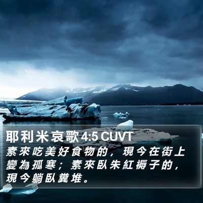 耶 利 米 哀 歌 4:5 CUVT Bible Verse Image