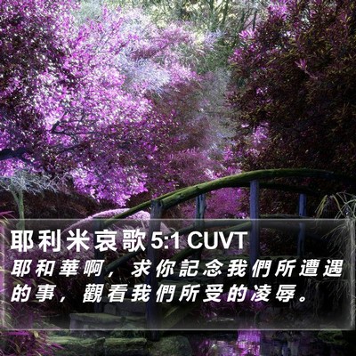 耶 利 米 哀 歌 5:1 CUVT Bible Verse Image