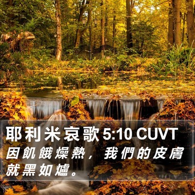 耶 利 米 哀 歌 5:10 CUVT Bible Verse Image