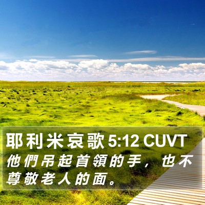 耶 利 米 哀 歌 5:12 CUVT Bible Verse Image
