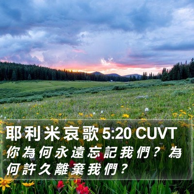 耶 利 米 哀 歌 5:20 CUVT Bible Verse Image