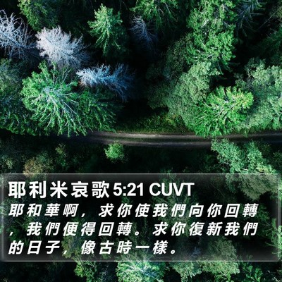 耶 利 米 哀 歌 5:21 CUVT Bible Verse Image