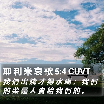 耶 利 米 哀 歌 5:4 CUVT Bible Verse Image