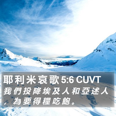 耶 利 米 哀 歌 5:6 CUVT Bible Verse Image