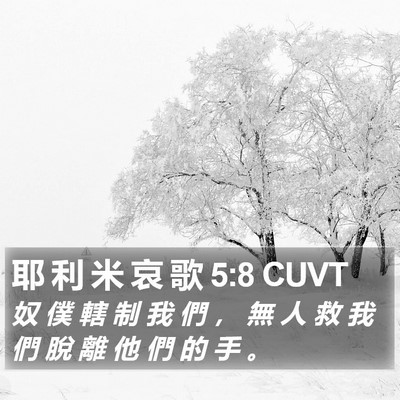 耶 利 米 哀 歌 5:8 CUVT Bible Verse Image