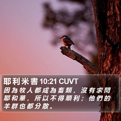 耶 利 米 書 10:21 CUVT Bible Verse Image