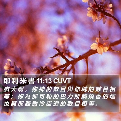 耶 利 米 書 11:13 CUVT Bible Verse Image