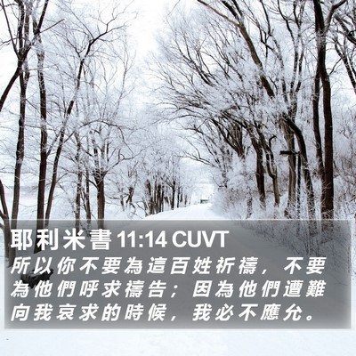 耶 利 米 書 11:14 CUVT Bible Verse Image