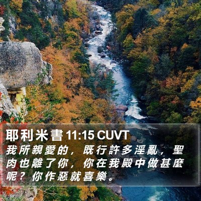 耶 利 米 書 11:15 CUVT Bible Verse Image