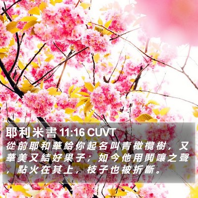 耶 利 米 書 11:16 CUVT Bible Verse Image
