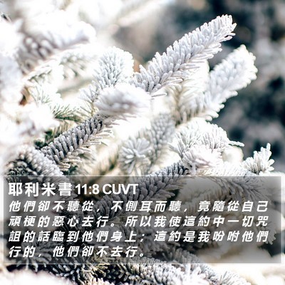 耶 利 米 書 11:8 CUVT Bible Verse Image