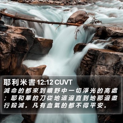 耶 利 米 書 12:12 CUVT Bible Verse Image