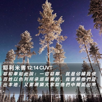 耶 利 米 書 12:14 CUVT Bible Verse Image