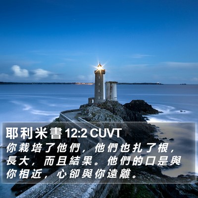 耶 利 米 書 12:2 CUVT Bible Verse Image