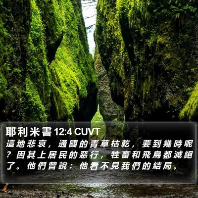 耶 利 米 書 12:4 CUVT Bible Verse Image