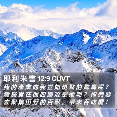 耶 利 米 書 12:9 CUVT Bible Verse Image