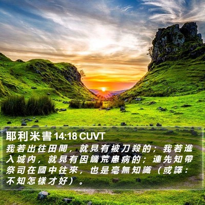 耶 利 米 書 14:18 CUVT Bible Verse Image