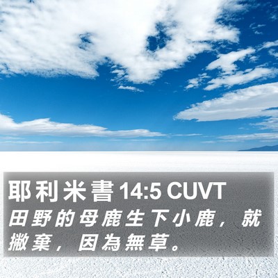 耶 利 米 書 14:5 CUVT Bible Verse Image