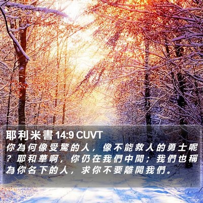 耶 利 米 書 14:9 CUVT Bible Verse Image