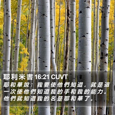 耶 利 米 書 16:21 CUVT Bible Verse Image