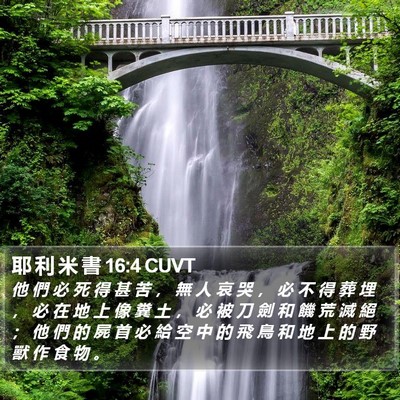 耶 利 米 書 16:4 CUVT Bible Verse Image