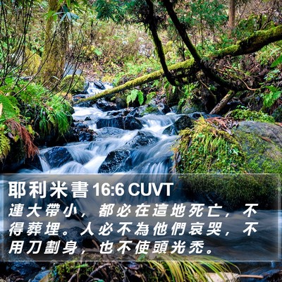 耶 利 米 書 16:6 CUVT Bible Verse Image