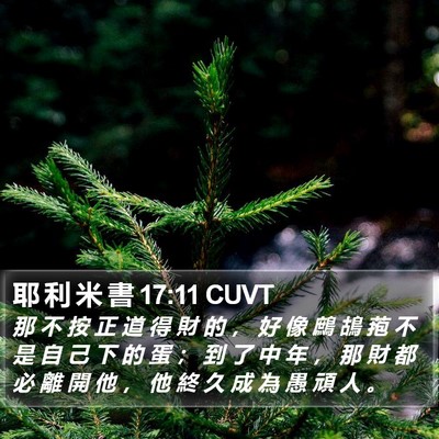 耶 利 米 書 17:11 CUVT Bible Verse Image