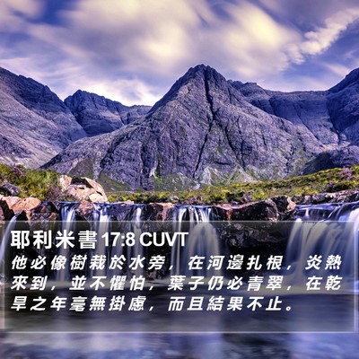 耶 利 米 書 17:8 CUVT Bible Verse Image