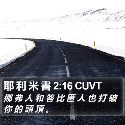 耶 利 米 書 2:16 CUVT Bible Verse Image
