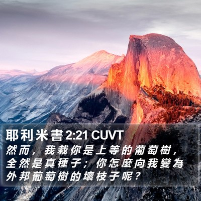 耶 利 米 書 2:21 CUVT Bible Verse Image